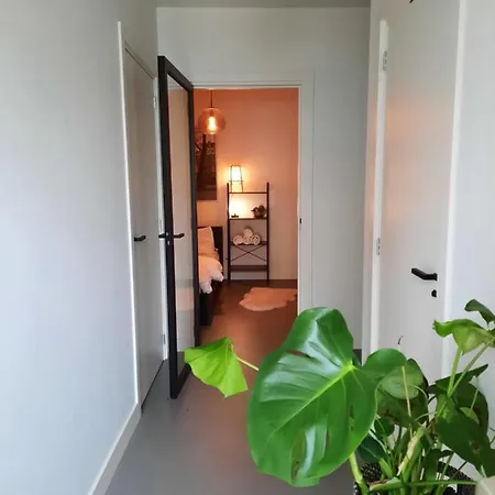 Проживание в семье Boutique Vondelpark Амстердам